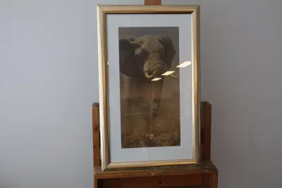 G framed print olifant – kavel bij GSD Auctions, Zoeterwoude