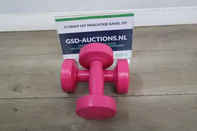 Set roze kunststof dumbbells – kavel bij GSD Auctions, Zoeterwoude