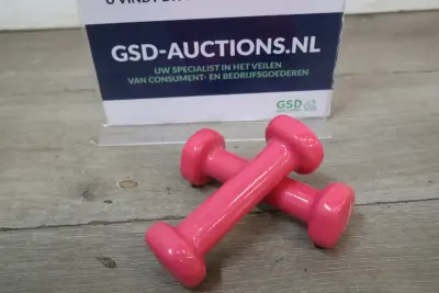 Set roze halters 0,5 kg – kavel bij GSD Auctions, Zoeterwoude