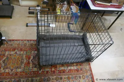 Bench voor hond – kavel bij Vlavem