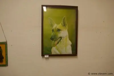 Kader met hond – kavel bij Vlavem