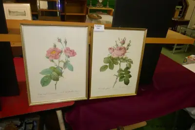 Kaders met bloemen – kavel bij Vlavem