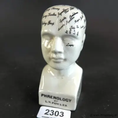 Keramieken frenologiehoofd (phrenology head) naar het klassieke 19e-eeuwse ontwerp van L.N. Fowler – kavel bij ProVeiling