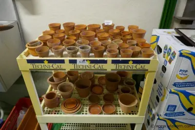 Bloempotjes en schaaltjes – kavel bij Vlavem