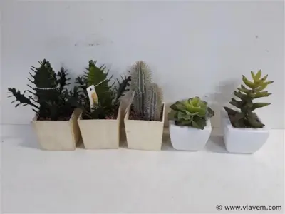 5 x Cactus kunststof in potje assorti – kavel bij Vlavem