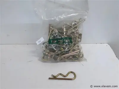 1 x Borgveer 50 stuks R-model 6mm – kavel bij Vlavem