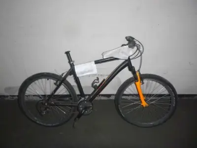 1 original Bulls Fahrrad, 26 Zoll, gebraucht – kavel bij Zoll-Auktion, Mainz