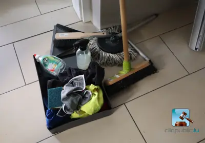 Batch van apparatuur en schoonmaakmiddelen – kavel bij Clicpublic
