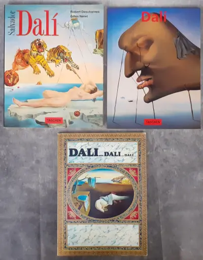 Boek: Trio van Dali kunstboeken – kavel bij De Kringwinkel, Gent