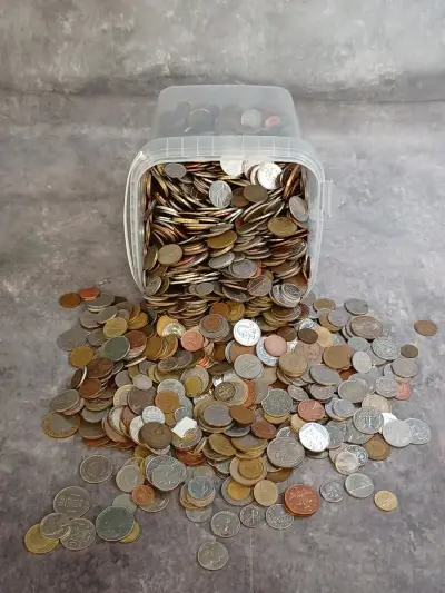 Uniek lot wereldmunten en circulatiegeld - +9,5kg – kavel bij De Kringwinkel, Gent