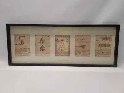 IKEA ÖLUNDA - Leonardo da Vinci - wanddecoratie met vijf studies in 3D-lijst – kavel bij De Kringwinkel, Gent