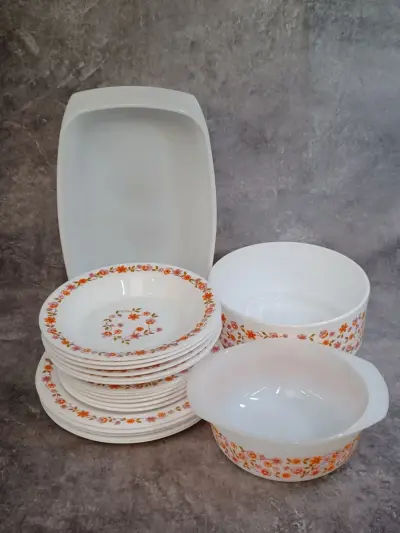Vintage Arcopal 21-delig servies uit de jaren 70 - Scania decor – kavel bij De Kringwinkel, Gent