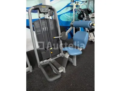 Professioneel Lendenkrachttrainingsapparaat - Technogym onderrug – kavel bij Auctelia, Bastogne