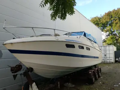 Wellcraft Marina Sea motorboot – kavel bij Boatauction.com, Hoogvliet Rotterdam
