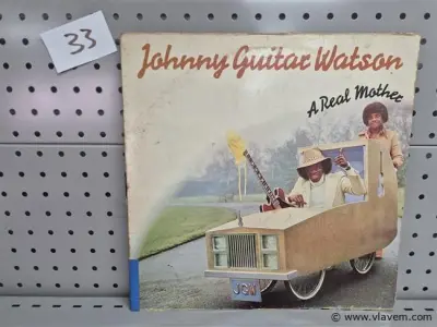 Johhny Guitar Watson – kavel bij Vlavem