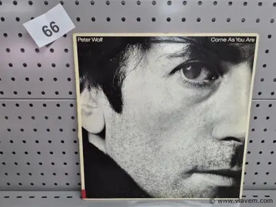 Peter Wolf – kavel bij Vlavem