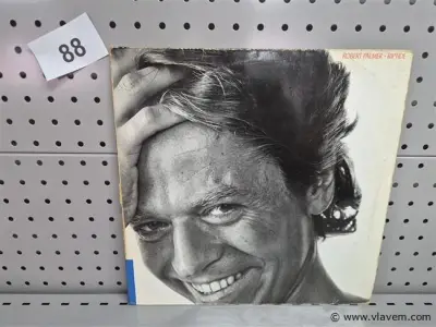 Robert Palmer – kavel bij Vlavem