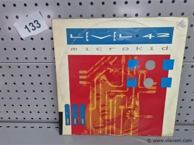 Level 42 – kavel bij Vlavem