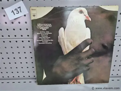 Santana – kavel bij Vlavem