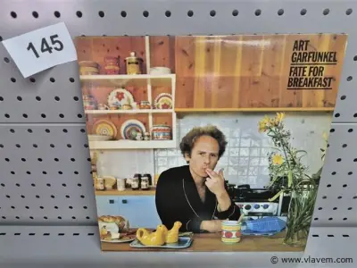 Art Garfunkel – kavel bij Vlavem