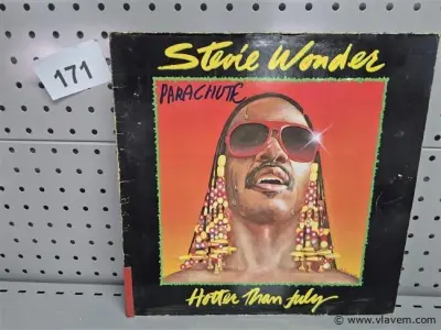 Stevie Wonder – kavel bij Vlavem