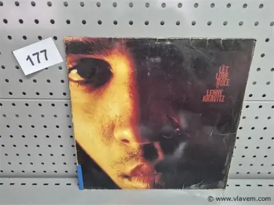 Lenny Kravitz – kavel bij Vlavem