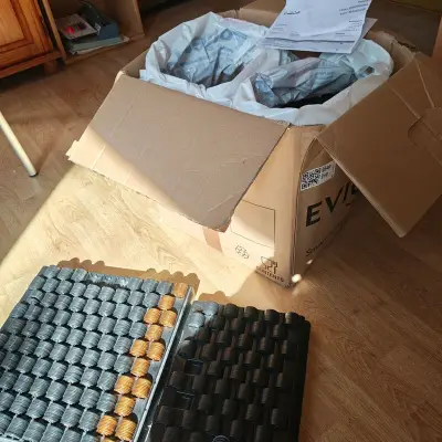 Consumptie munten, zwart goud – kavel bij Onlineveilingmeester, Noordwolde