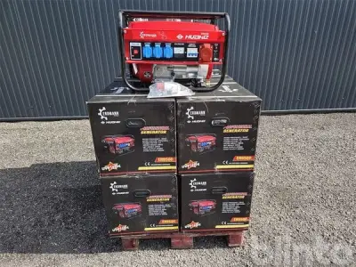 Generator Erdmann ER9500 (2026) 10 stuks – kavel bij Blinto, Hillscheid