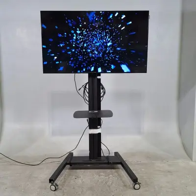 Monitor op verrijdbare standaard, Samsung, LH55DCE, 2016 – kavel bij Domeinen Roerende Zaken, Groningen