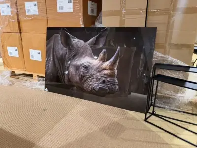 Schilderij gehard glas Neushoorn, Homebound – kavel bij Onlineveilingmeester, Joure
