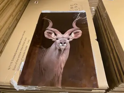 Schilderij gehard glas Kudu – kavel bij Onlineveilingmeester, Joure