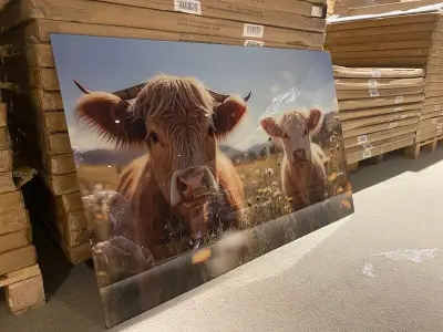 Schilderij gehard glas Koeien – kavel bij Onlineveilingmeester, Joure
