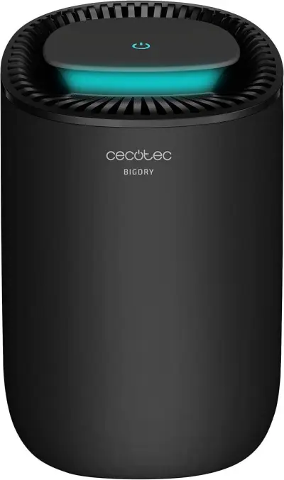 Cecotec BigDry 2000 Light Black Luchtontvochtiger – kavel bij Openbare Verkopen, Brugge