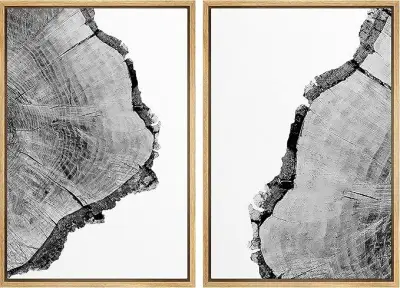 SIGNFORD Canvas foto's, zwart-wit boom ring – kavel bij Openbare Verkopen, Brugge