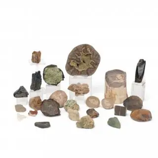Diverse mineralen, ondermeer agaat, carborundum, obsidiaan en versteend hout – kavel bij Veilinggebouw De Zwaan, Amsterdam