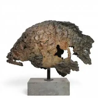 Pieter van den Daele (geb. 1971) bruin gepatineerd bronzen sculptuur, 'Karper' – kavel bij Veilinggebouw De Zwaan, Amsterdam