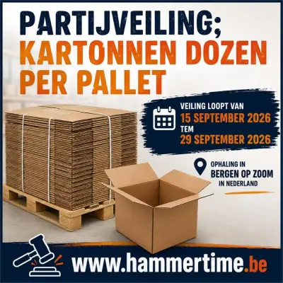 Partijveiling; Kartonnen Dozen Per Pallet – veiling bij Hammertime