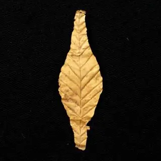 A Greek gold rectangular applique and Roman-Greek, two leaf shaped gold appliques, ca. 400 BCE - 200 CE – kavel bij Veilinggebouw De Zwaan, Amsterdam
