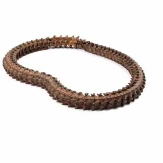 Philippines, North Luzon, Kalinga, a chain of snake vertebra – kavel bij Veilinggebouw De Zwaan, Amsterdam