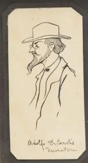 Adolpho di Carolis (1874-1928) – kavel bij Veilinggebouw De Zwaan, Amsterdam
