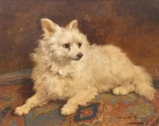 Henriette Ronner (1821-1909) – kavel bij Veilinggebouw De Zwaan, Amsterdam