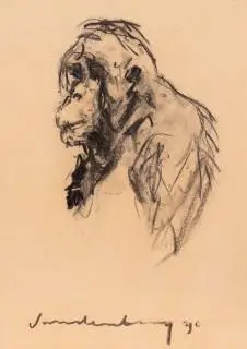 Philippe Vandenberg (1952–2009) – kavel bij Veilinggebouw De Zwaan, Amsterdam