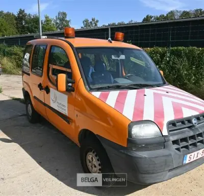 Lichte vracht FIAT Doblo – kavel bij Belga Veilingen