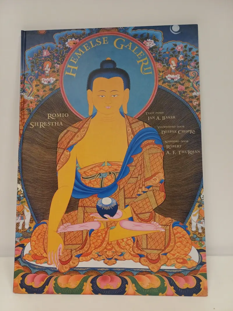 Kunstboek: "Hemelse Galerij" – kavel bij De Kringwinkel, Ronse