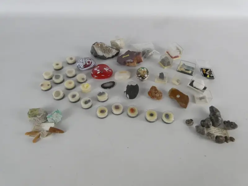Verzameling mineralen, fossielen en edelstenen – kavel bij De Kringwinkel, Heverlee