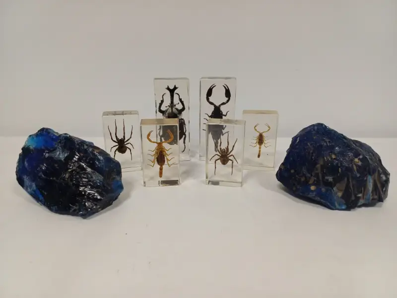 Lot natuurobjecten – kavel bij De Kringwinkel, Ronse