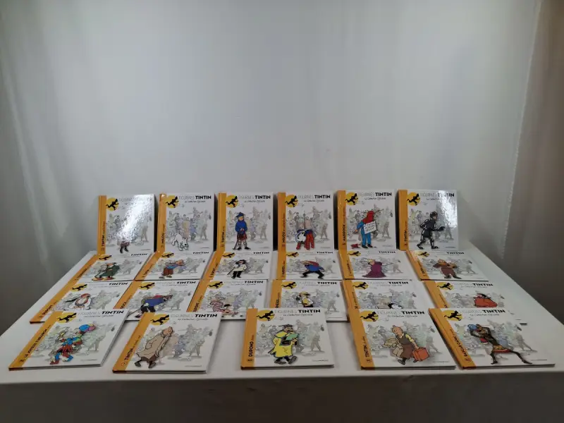 Set van 23 Tintin figurines boekjes – kavel bij De Kringwinkel, Geraardsbergen