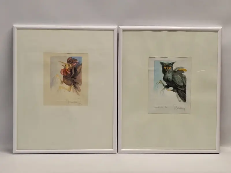 Set van 2 handgesigneerde dierillustraties ‘Haan’ en ‘Vrouwelijke uil’ - 2000/2002 - Willy Bosschem – kavel bij De Kringwinkel, Gent