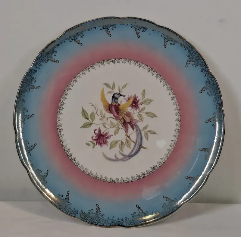 Decoratief bord ‘Oiseaux des Îles’ van Digoin & Sarreguemines – kavel bij De Kringwinkel, Geraardsbergen