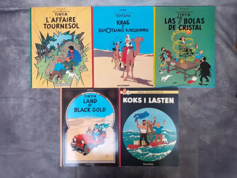 Strips: Verzameling Kuifje albums in divers talen – kavel bij De Kringwinkel, Gent